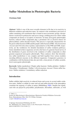 Sulfur Metabolism in Phototrophic Bacteria