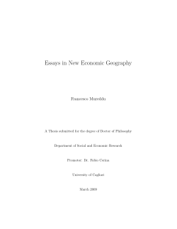 Essays in New Economic Geography