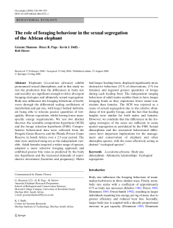 The role of foraging behaviour in the sexual segregation of the