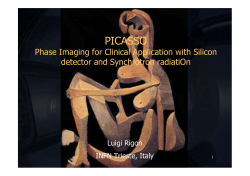 picasso - Agenda INFN
