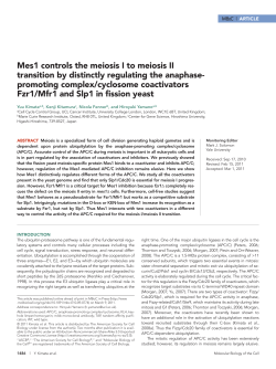 Mes1 controls the meiosis I to meiosis II transition