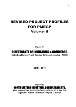 REVISED PROJECT PROFILES FOR PMEGP