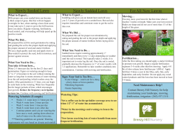 lawn-maintenance-handout