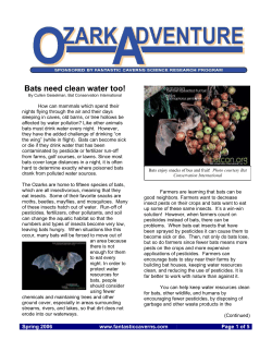 Bats need clean water too!