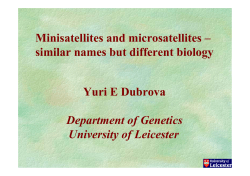 Minisatellites and microsatellites &ndash; similar names but different