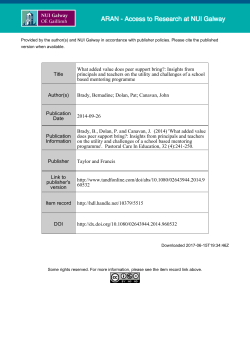 Title What added value does peer support bring?: Insights from