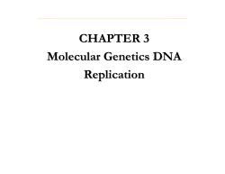 Lecture 3 DNA Replication