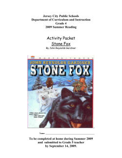 Activity Packet Stone Fox