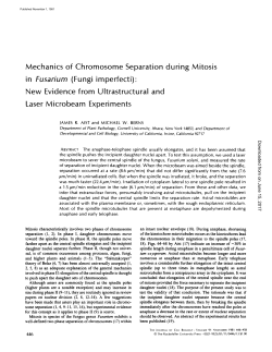 Mechanics of Chromosome Separation during Mitosis in Fusarium