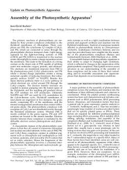 Assembly of the Photosynthetic Apparatus1