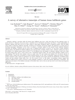 A survey of alternative transcripts of human tissue kallikrein genes