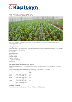 pot production manual