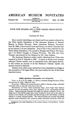 american museum novitates - AMNH Library Digital Repository