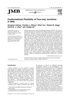 Conformational Flexibility of Four