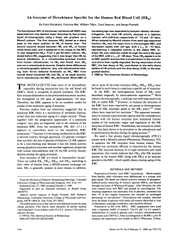 An Isozyme of Hexokinase Specific for the Human Red Blood Cell
