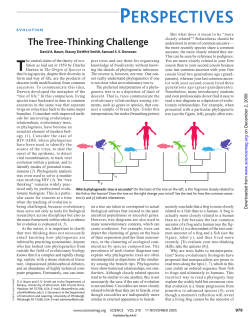 Baum article