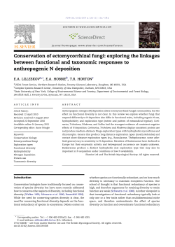 Conservation of ectomycorrhizal fungi: exploring the linkages