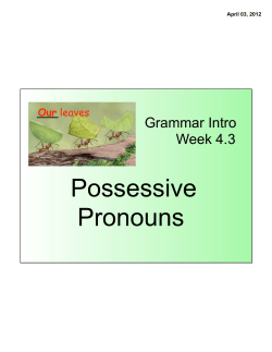 Possessive Pronouns - Plain Local Schools