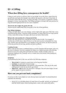 "Q+A Lifting" PDF document | 2 pages | 103 kB Leaflet