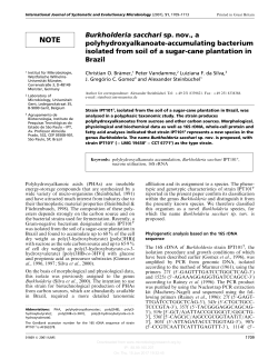 NOTE Burkholderia sacchari sp. nov., a polyhydroxyalkanoate