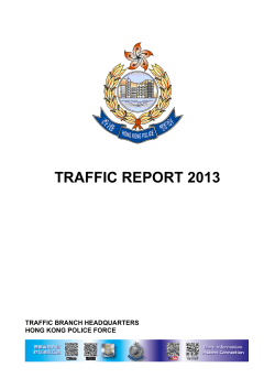 Traffic report 2013