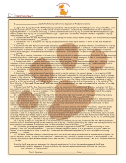 service contract - The Bone Adventure