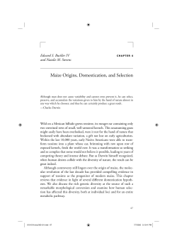 Maize Origins, Domestication, and Selection - Bio