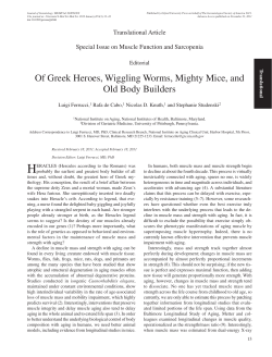 Of Greek Heroes, Wiggling Worms, Mighty Mice, and Old Body