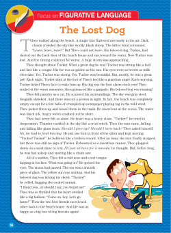 The Lost Dog