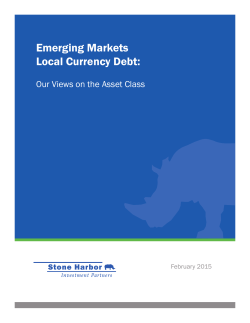Emerging Markets Local Currency Debt