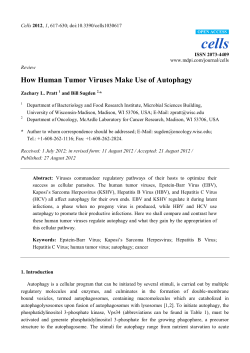 How Human Tumor Viruses Make Use of Autophagy