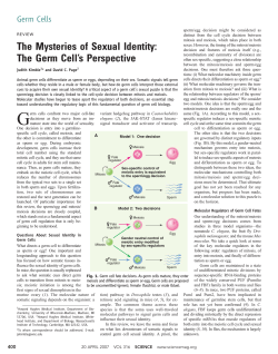 The Mysteries of Sexual Identity: The Germ Cell`s Perspective