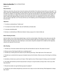 Before You Were Mine Lesson Plan