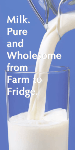 Milk. Pure and Wholesome from Farm to Fridge.