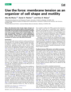 Use the force: membrane tension as an organizer of cell shape and
