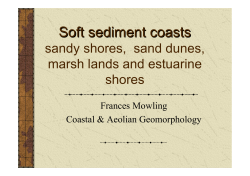 Soft sediment coasts sandy shores, sand dunes, marsh lands and
