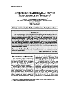 effects of feather meal on the performance of turkeys