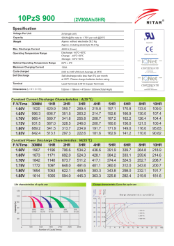 10 PzS 900 - Ritar Power
