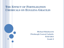 the effect of fertilization chemicals on euglena gracilis