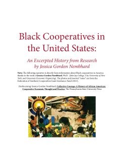 Black Cooperatives in the United States