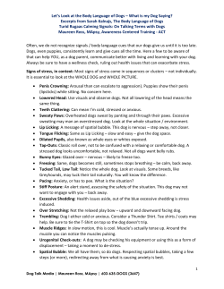 Let`s Look at the Body Language of Dogs