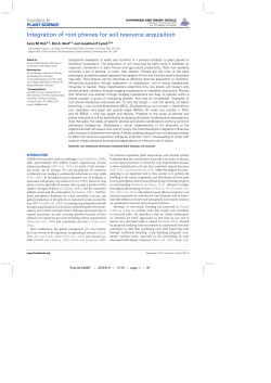 Integration of root phenes for soil resource acquisition