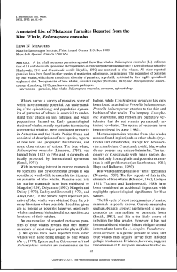 Annotated List of Metazoan Parasites Reported from the Blue Whale