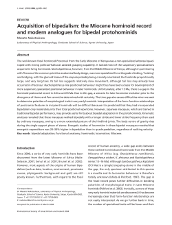 Acquisition of bipedalism: the Miocene hominoid record and modern