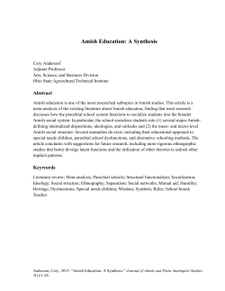 Amish Education: A Synthesis