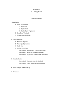 Wetlands A Living Filter