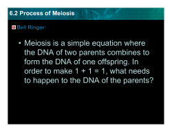 6.2 Process of Meiosis - Clinton Public Schools