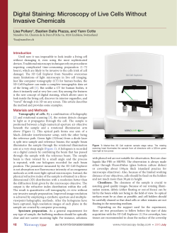 Digital Staining: Microscopy of Live Cells Without Invasive Chemicals
