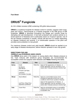 Orius&reg; Fact Sheet PDF 0.1MB