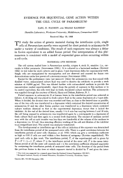 evidence for sequential gene action within the cell cycle